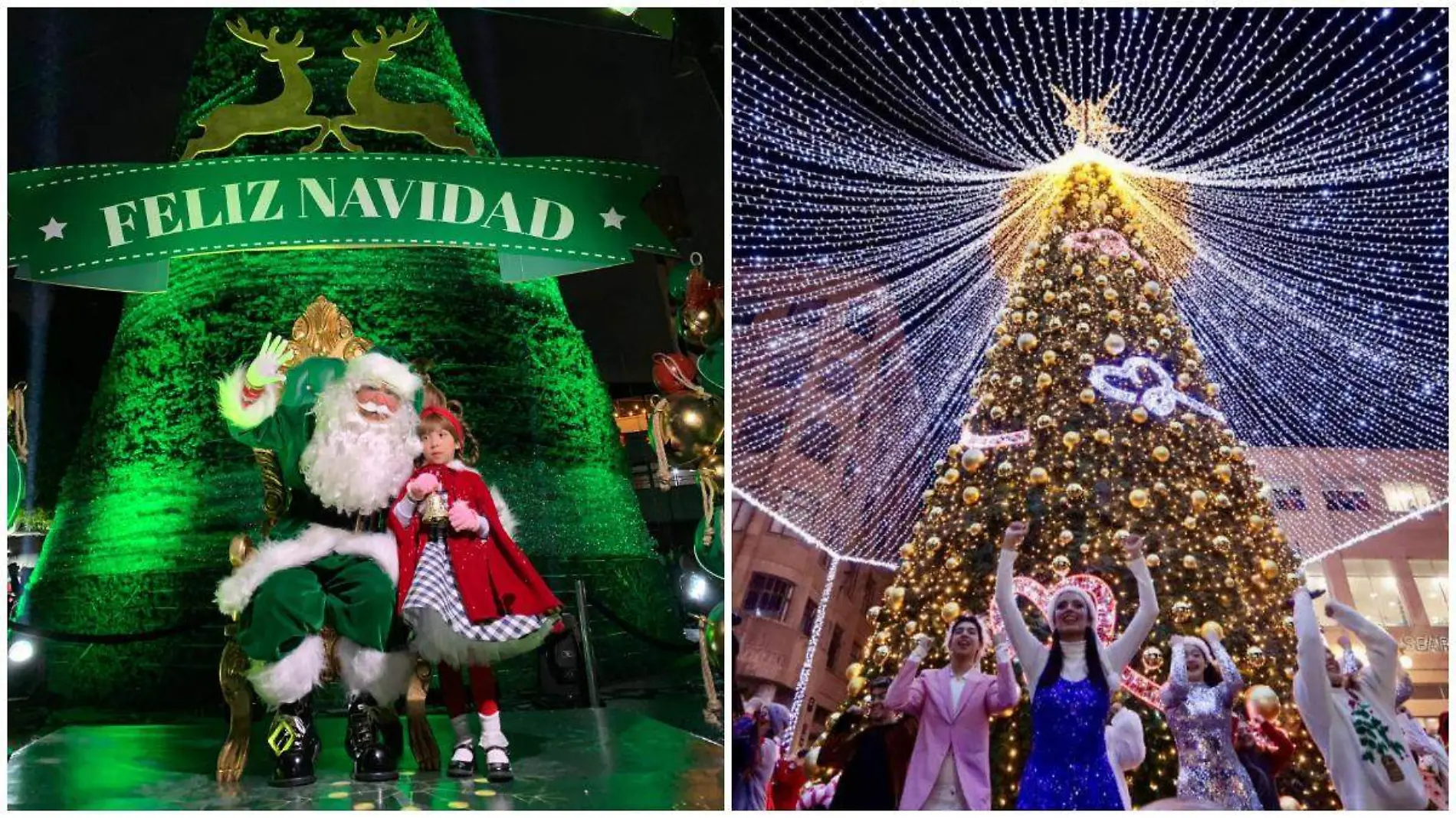 Árboles de Navidad